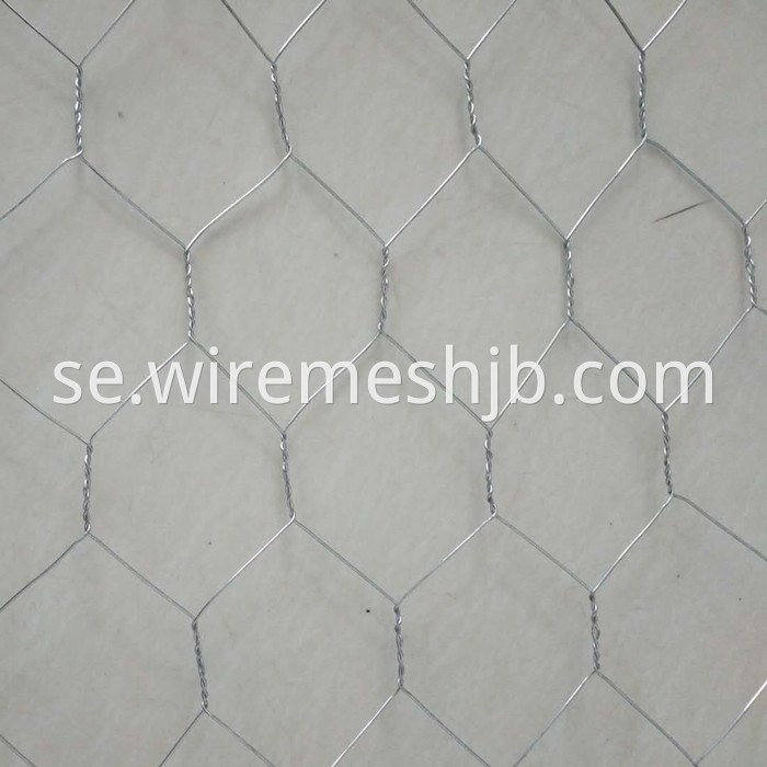 Chicken Wire Mesh